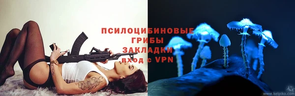 гидропоника Инта