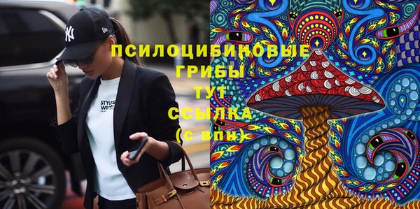 метадон Инсар