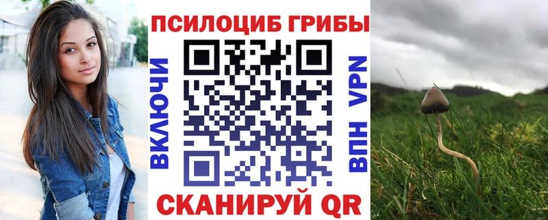 Псилоцибиновые грибы GOLDEN TEACHER  дарнет шоп  Томмот 