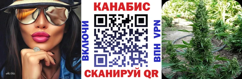 Бошки марихуана Amnesia  где найти наркотики  Томмот 